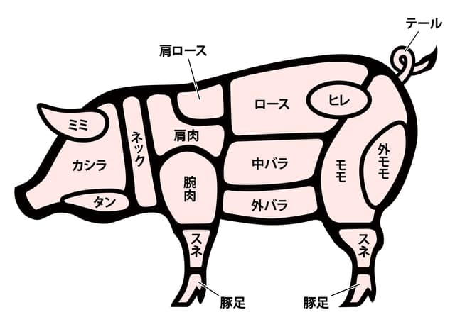 豚肉を美味しく食べるなら知っておきたい部位について コラム 和豚もちぶた