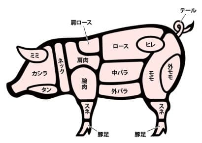 豚肉を美味しく食べるなら知っておきたい部位について